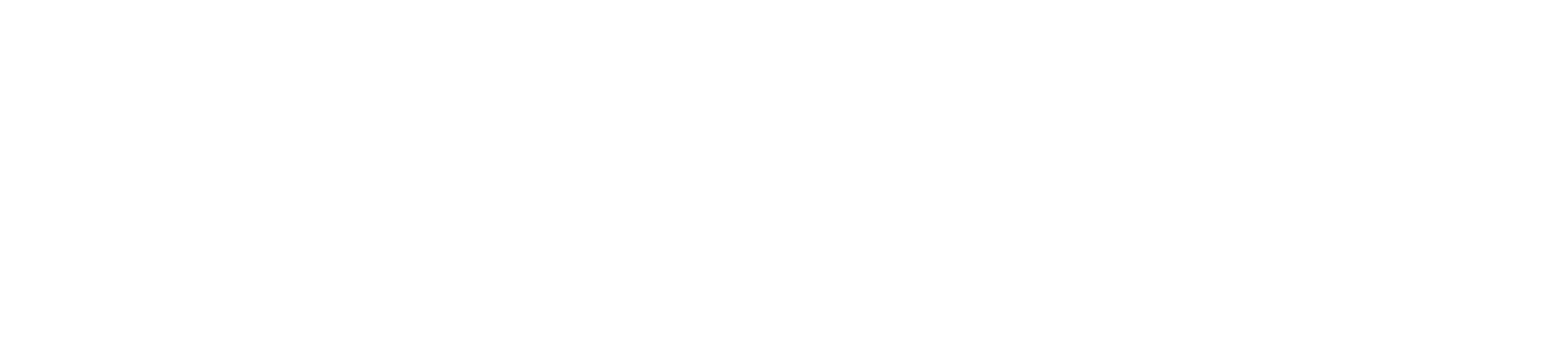 DS Technologies